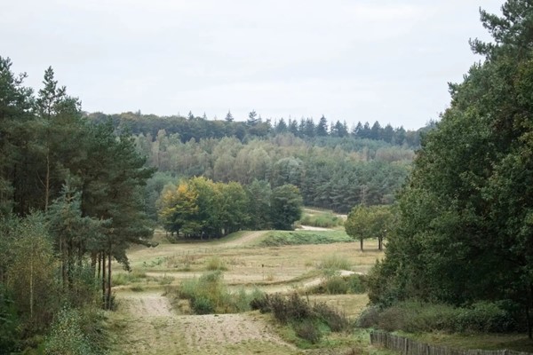 kwintelooien 2.jpg